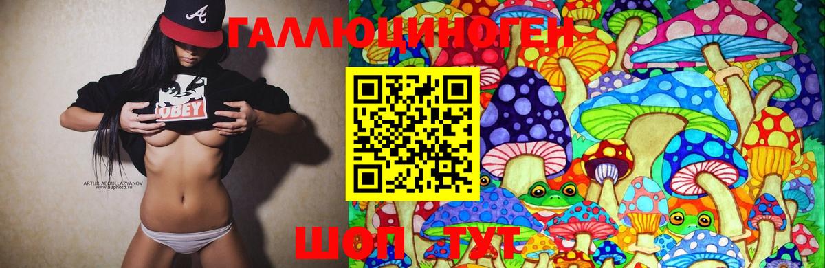 Псилоцибиновые грибы Cubensis Среднеуральск